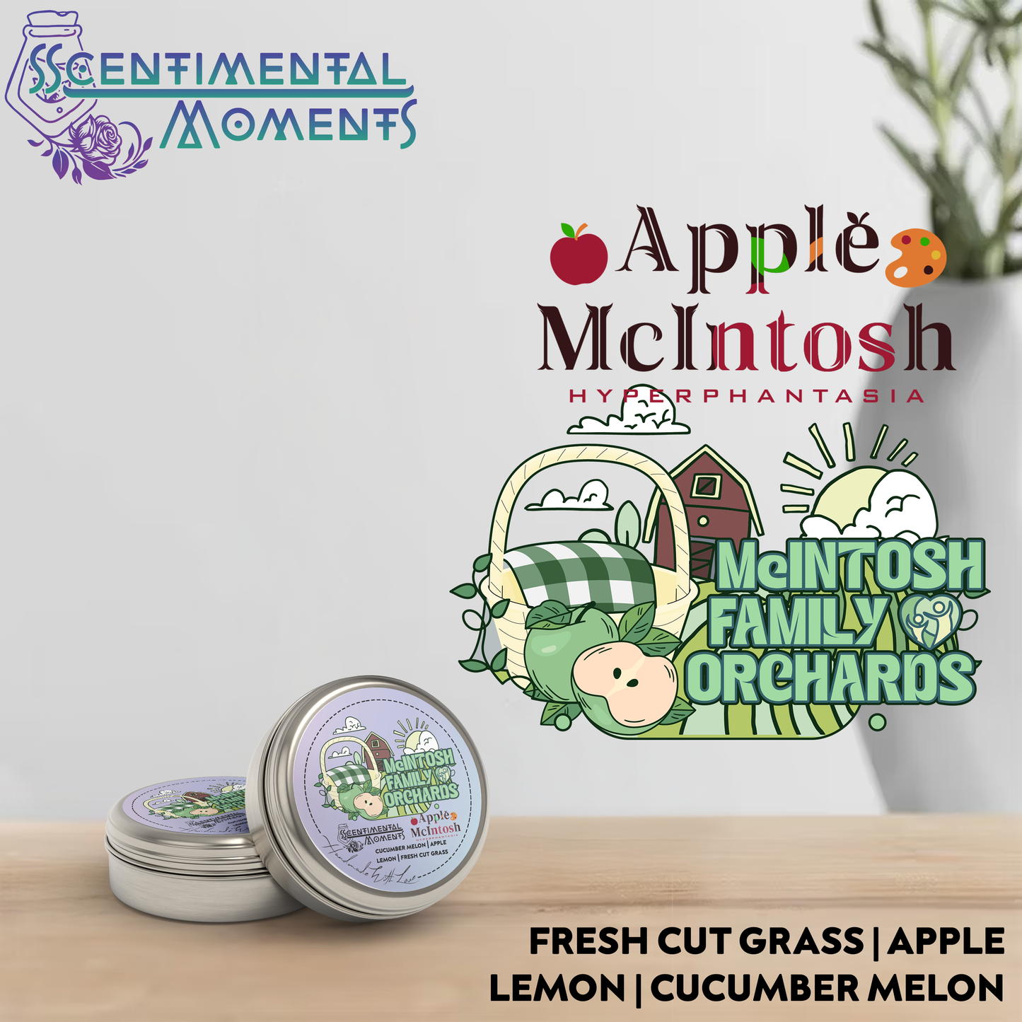 Apple McIntosh products