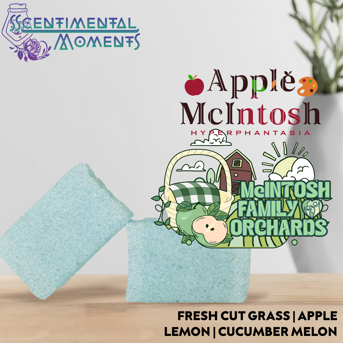 Apple McIntosh products