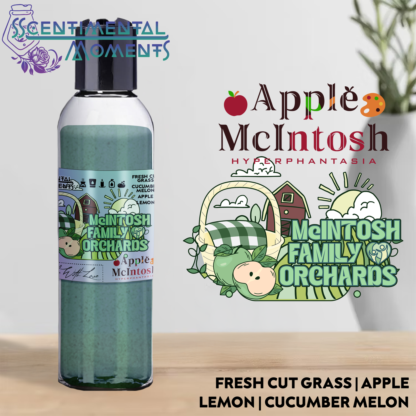 Apple McIntosh products