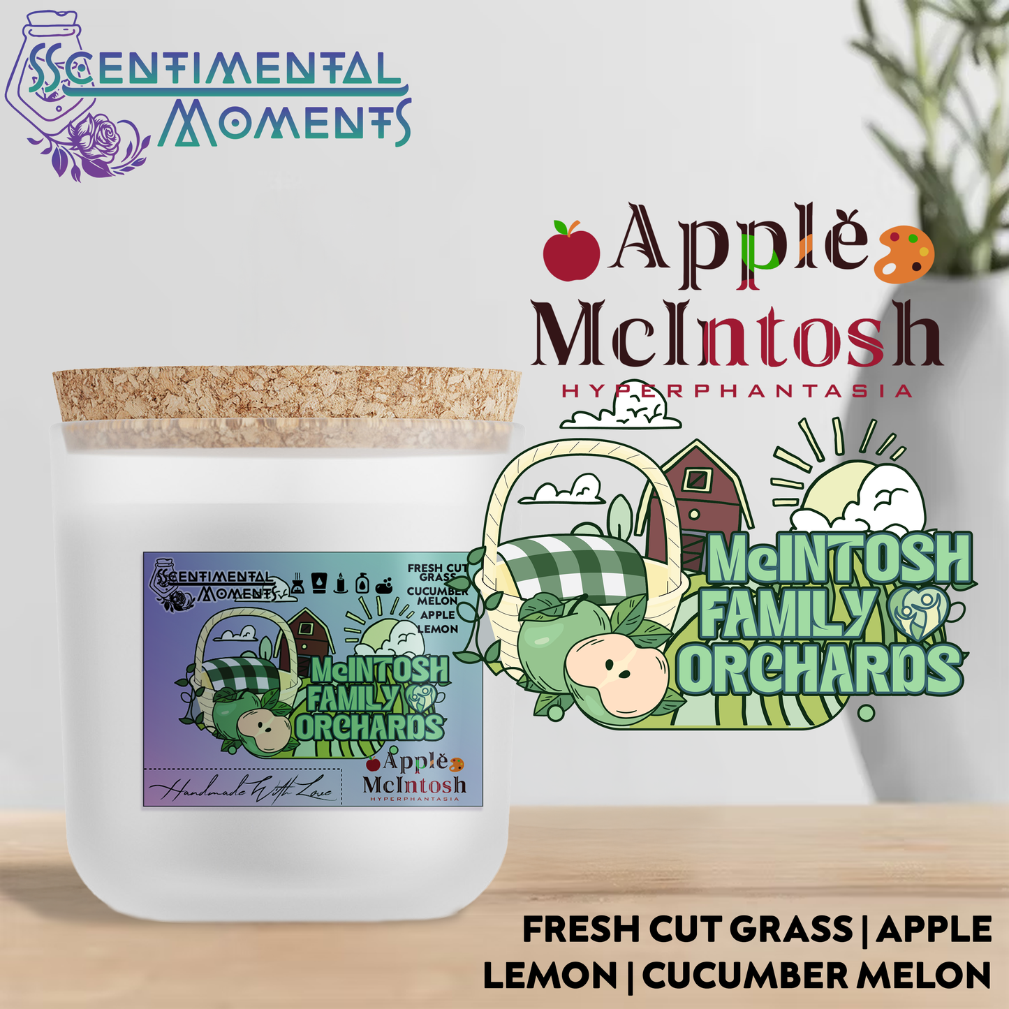 Apple McIntosh products