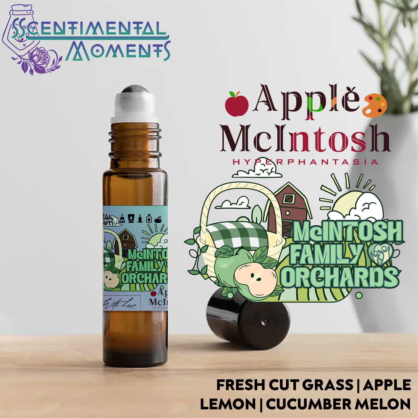 Apple McIntosh products